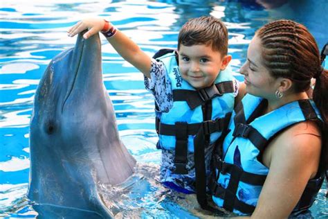 nager avec les dauphins punta cana|Nager avec les dauphins à Punta Cana 